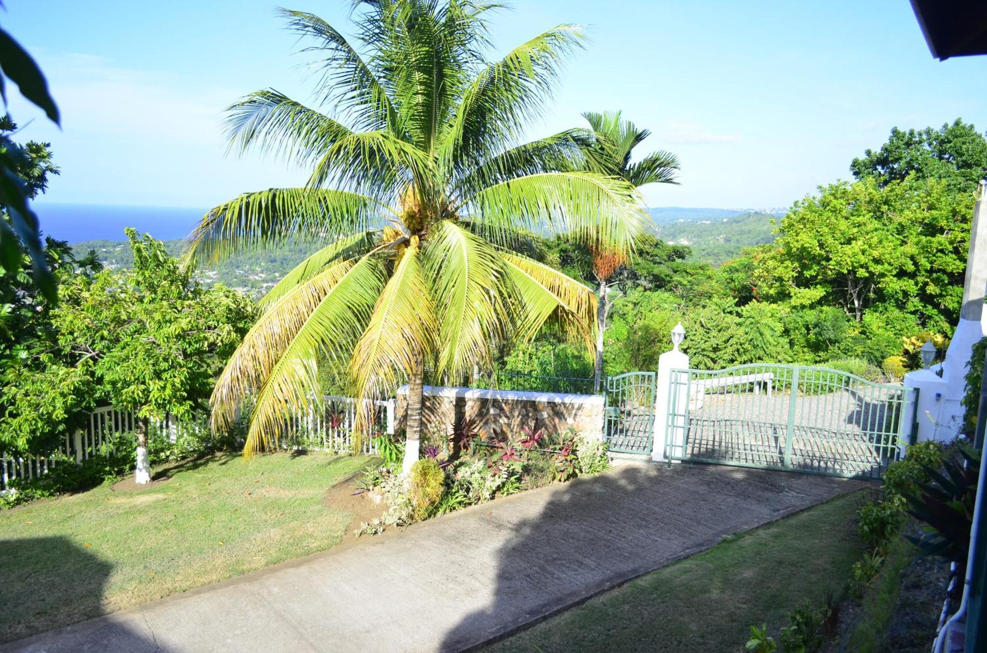 Pink Rock Inn Bed And Breakfast Ocho Rios Buitenkant foto