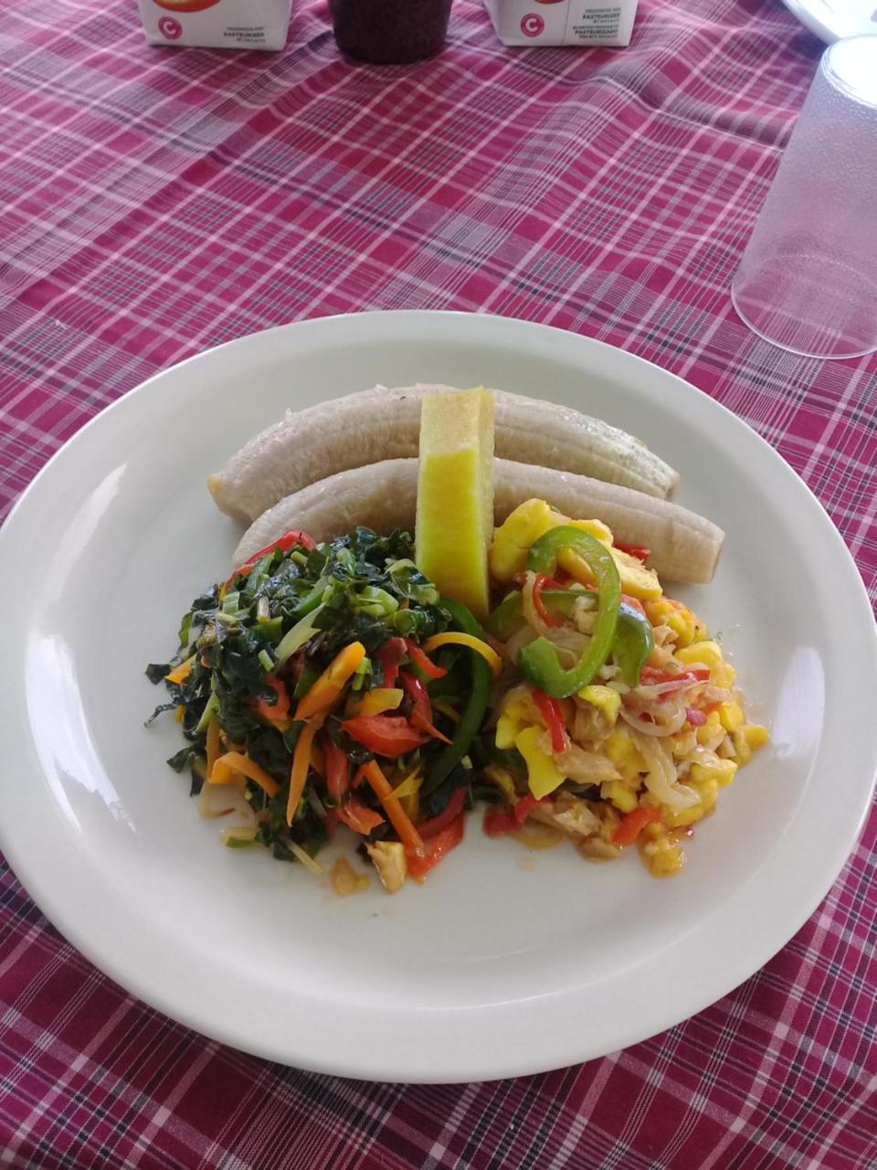 Pink Rock Inn Bed And Breakfast Ocho Rios Buitenkant foto